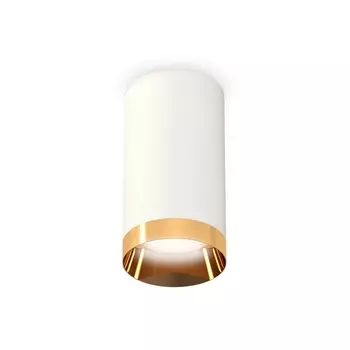 Накладной светильник светодиодный Ambrella Techno Spot XS6322024