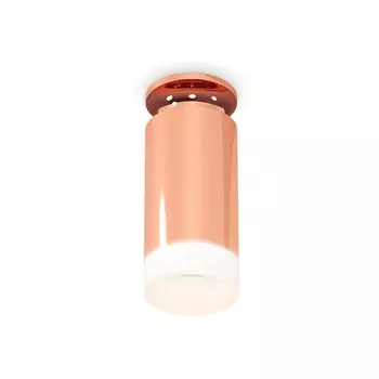 Накладной светильник светодиодный Ambrella Techno Spot XS6326082