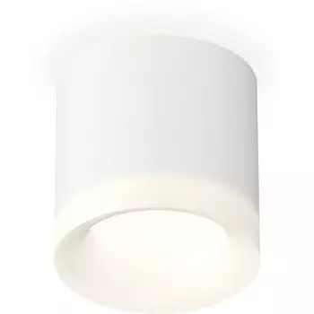 Накладной светильник светодиодный Ambrella Techno Spot XS7401044