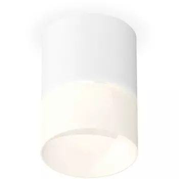 Накладной светильник светодиодный Ambrella Techno Spot XS7401045