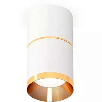 Накладной светильник светодиодный Ambrella Techno Spot XS7401201