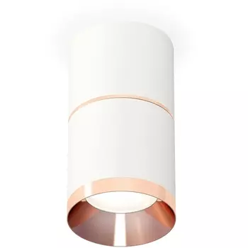 Накладной светильник светодиодный Ambrella Techno Spot XS7401221