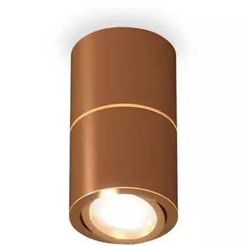 Накладной светильник светодиодный Ambrella Techno Spot XS7404060