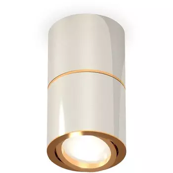 Накладной светильник светодиодный Ambrella Techno Spot XS7405060