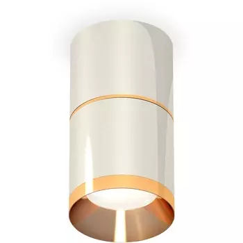 Накладной светильник светодиодный Ambrella Techno Spot XS7405061