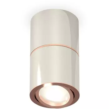 Накладной светильник светодиодный Ambrella Techno Spot XS7405080