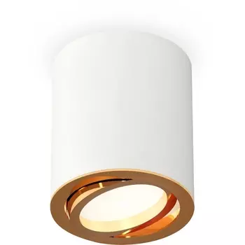 Накладной светильник светодиодный Ambrella Techno Spot XS7421003