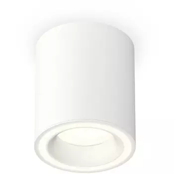 Накладной светильник светодиодный Ambrella Techno Spot XS7421020