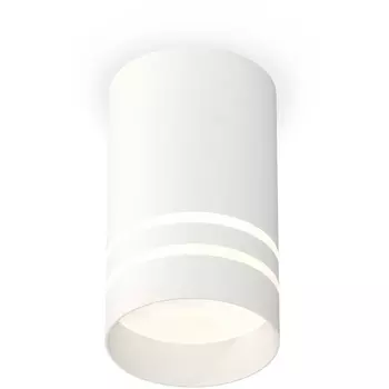 Накладной светильник светодиодный Ambrella Techno Spot XS7421022