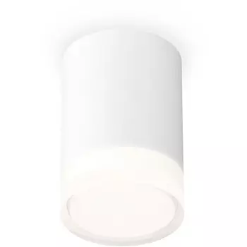 Накладной светильник светодиодный Ambrella Techno Spot XS7421023