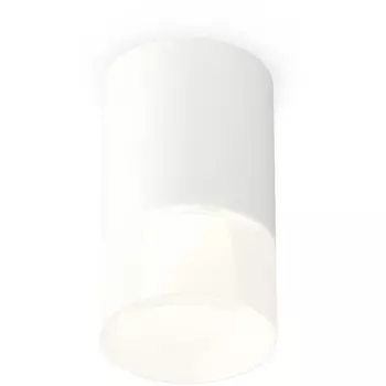 Накладной светильник светодиодный Ambrella Techno Spot XS7421025