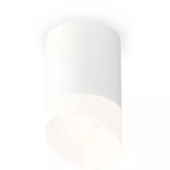 Накладной светильник светодиодный Ambrella Techno Spot XS7421026