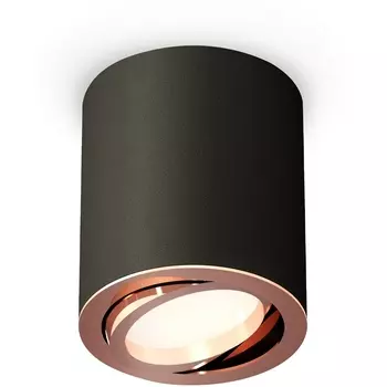 Накладной светильник светодиодный Ambrella Techno Spot XS7422004