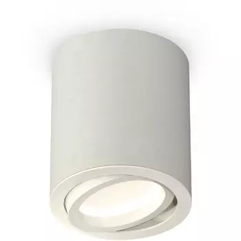 Накладной светильник светодиодный Ambrella Techno Spot XS7423020