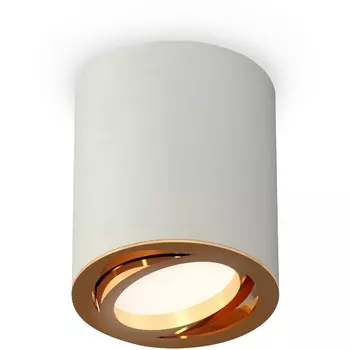 Накладной светильник светодиодный Ambrella Techno Spot XS7423022