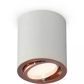 Накладной светильник светодиодный Ambrella Techno Spot XS7423023