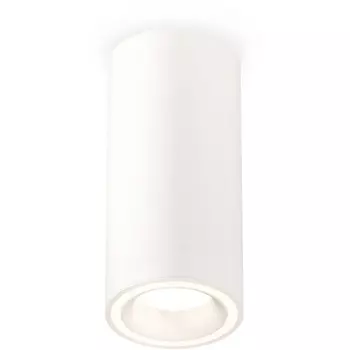 Накладной светильник светодиодный Ambrella Techno Spot XS7442011