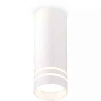 Накладной светильник светодиодный Ambrella Techno Spot XS7442013