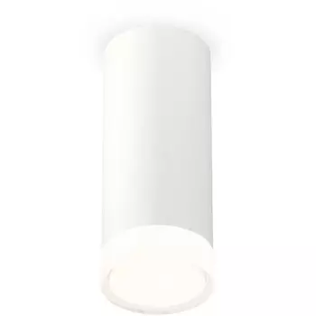 Накладной светильник светодиодный Ambrella Techno Spot XS7442014