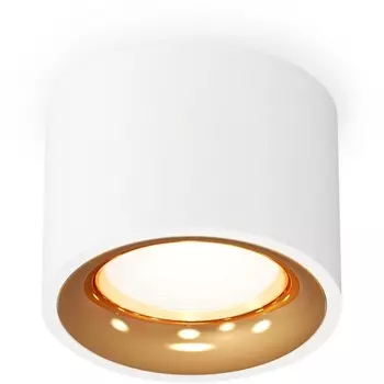 Накладной светильник светодиодный Ambrella Techno Spot XS7510024