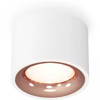 Накладной светильник светодиодный Ambrella Techno Spot XS7510025