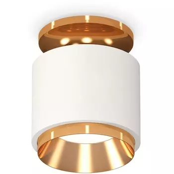 Накладной светильник светодиодный Ambrella Techno Spot XS7510120