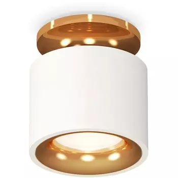 Накладной светильник светодиодный Ambrella Techno Spot XS7510121