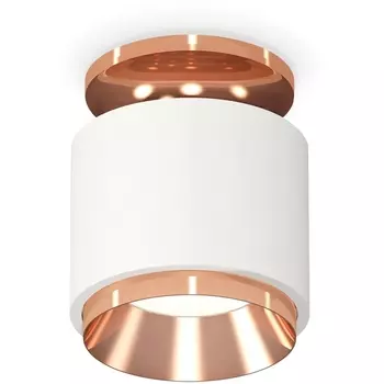 Накладной светильник светодиодный Ambrella Techno Spot XS7510140