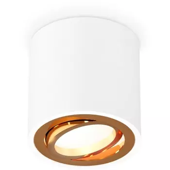 Накладной светильник светодиодный Ambrella Techno Spot XS7531004