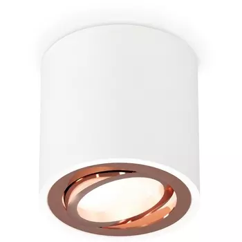 Накладной светильник светодиодный Ambrella Techno Spot XS7531005