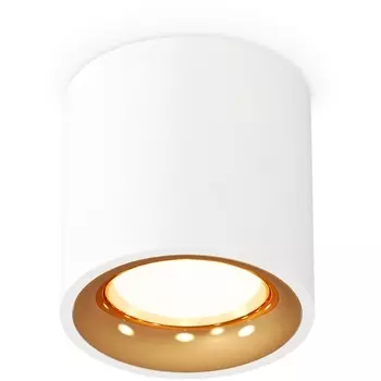 Накладной светильник светодиодный Ambrella Techno Spot XS7531024