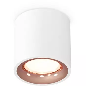 Накладной светильник светодиодный Ambrella Techno Spot XS7531025