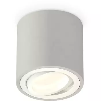 Накладной светильник светодиодный Ambrella Techno Spot XS7533001