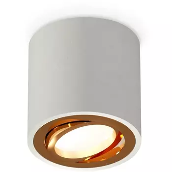 Накладной светильник светодиодный Ambrella Techno Spot XS7533004