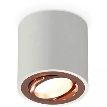 Накладной светильник светодиодный Ambrella Techno Spot XS7533005