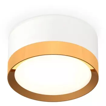 Накладной светильник светодиодный Ambrella Techno Spot XS8101005