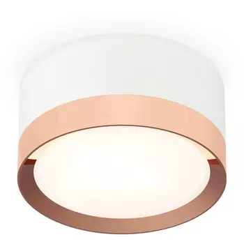 Накладной светильник светодиодный Ambrella Techno Spot XS8101006