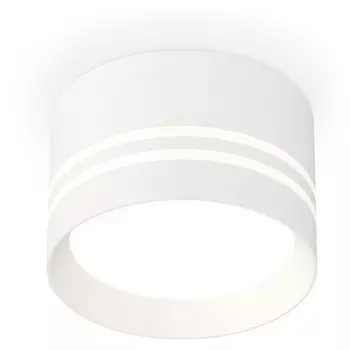 Накладной светильник светодиодный Ambrella Techno Spot XS8101021