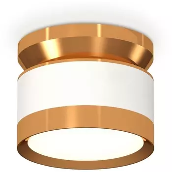 Накладной светильник светодиодный Ambrella Techno Spot XS8101060