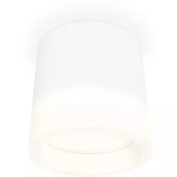 Накладной светильник светодиодный Ambrella Techno Spot XS8110001