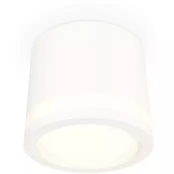 Накладной светильник светодиодный Ambrella Techno Spot XS8110003