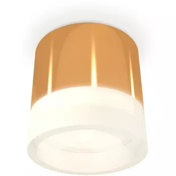 Накладной светильник светодиодный Ambrella Techno Spot XS8121010