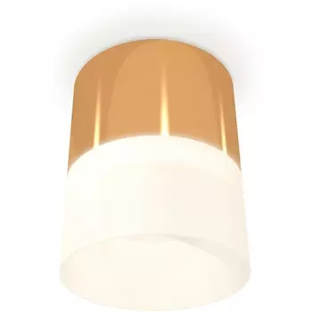 Накладной светильник светодиодный Ambrella Techno Spot XS8121011