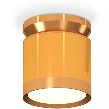 Накладной светильник светодиодный Ambrella Techno Spot XS8121035