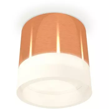 Накладной светильник светодиодный Ambrella Techno Spot XS8122010