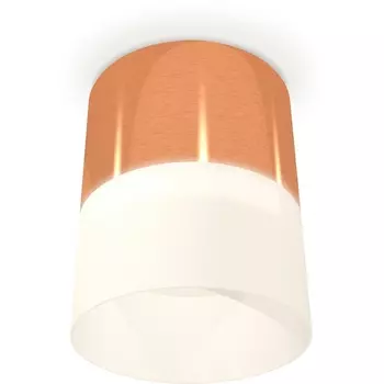 Накладной светильник светодиодный Ambrella Techno Spot XS8122011