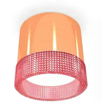 Накладной светильник светодиодный Ambrella Techno Spot XS8122022