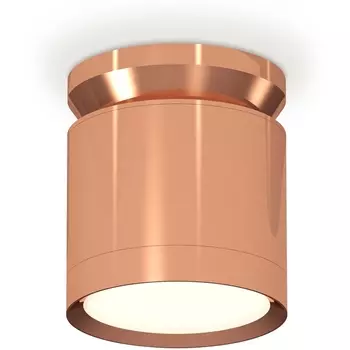 Накладной светильник светодиодный Ambrella Techno Spot XS8122035