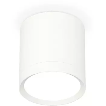 Накладной светильник светодиодный Ambrella Techno Spot XS8141001