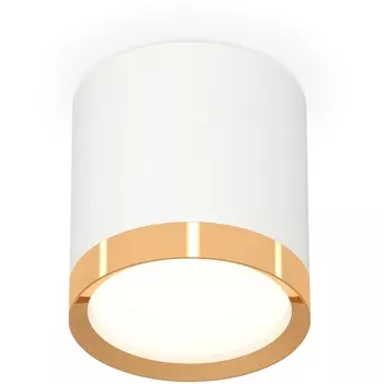 Накладной светильник светодиодный Ambrella Techno Spot XS8141004